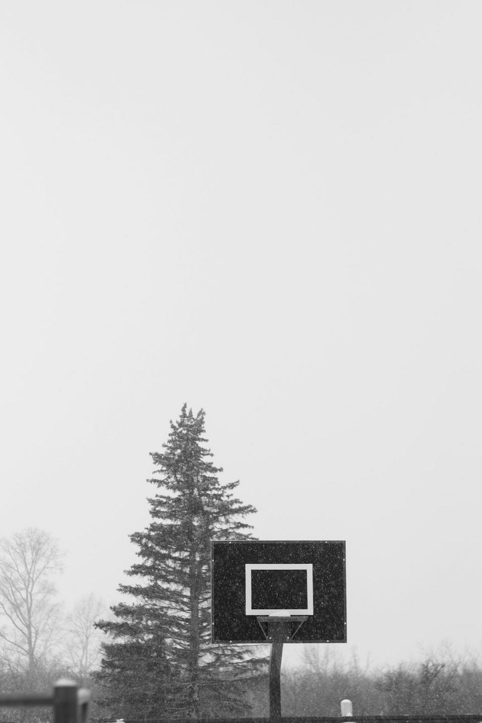 Whistler Mountain Retreat