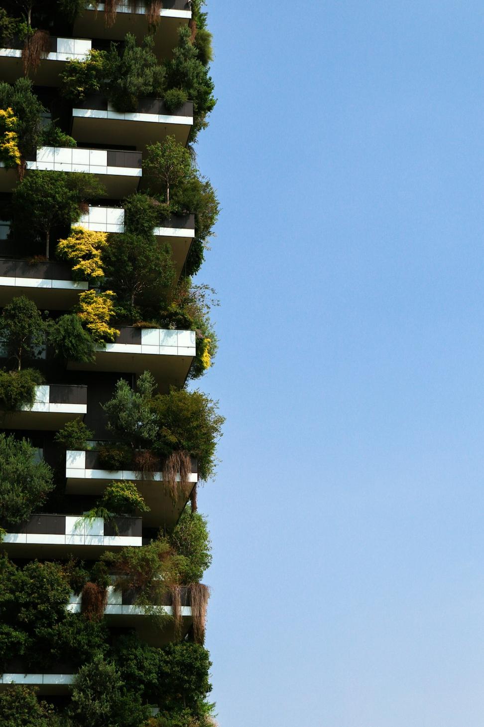 Sustainable detail